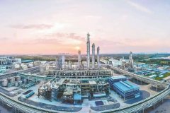 双方在政府决策、产业发展、成果转化、项目合